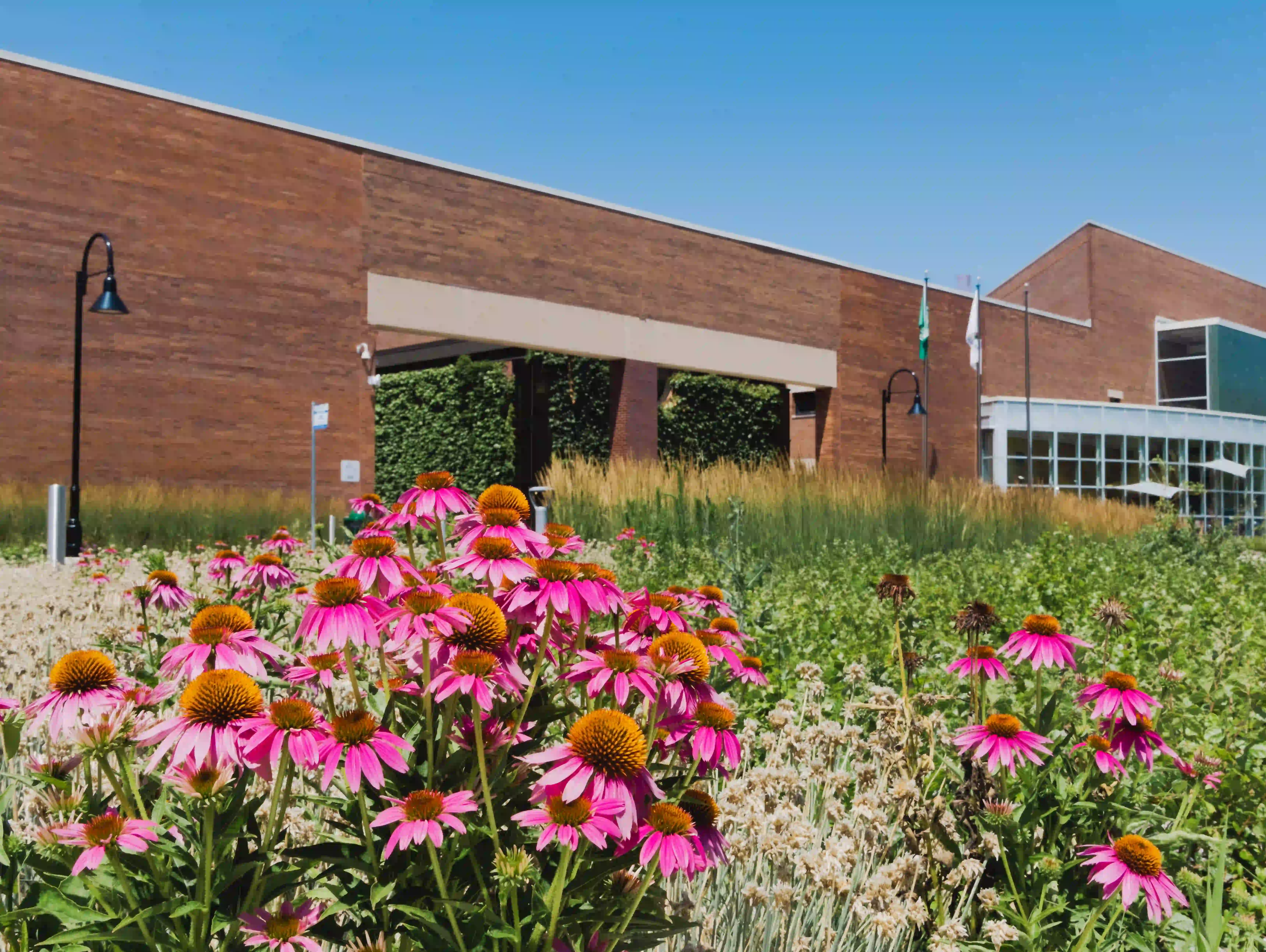 Oakton Community College campus