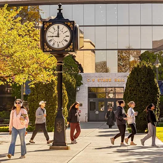 Hofstra University campus