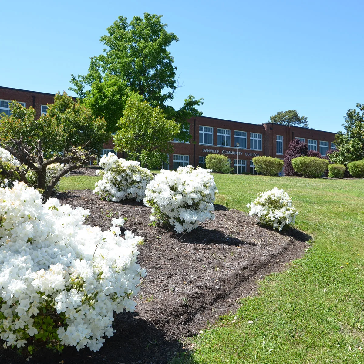 Danville Community College campus